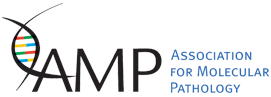 AMP Footer Logo